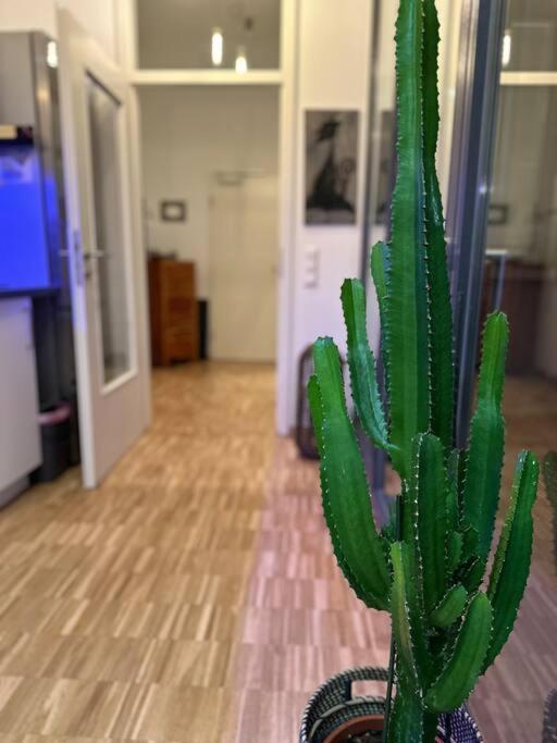 Luxus I Wohnkueche I Garten I Terrasse I Parkplatz Fürth المظهر الخارجي الصورة