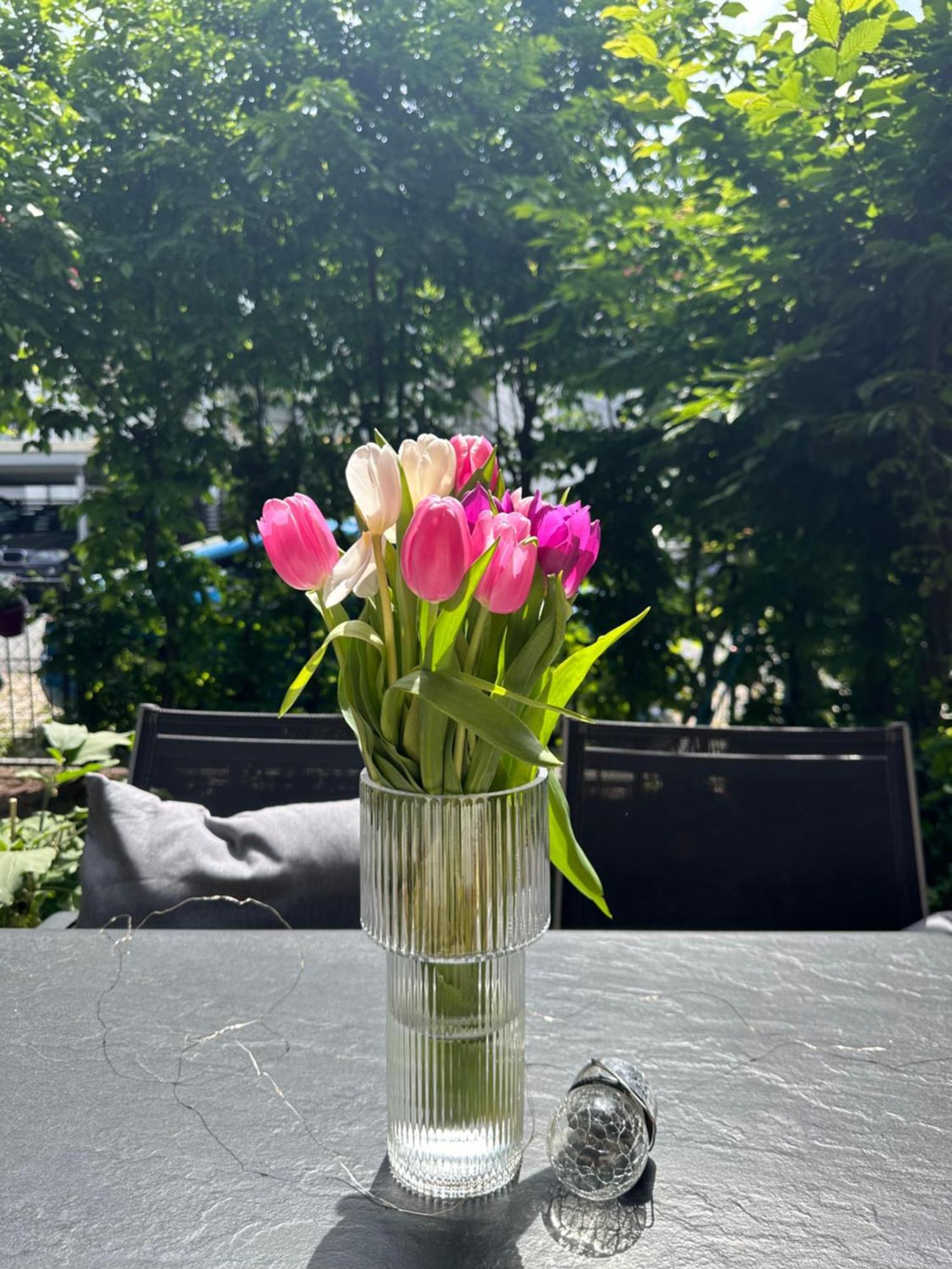 Luxus I Wohnkueche I Garten I Terrasse I Parkplatz Fürth المظهر الخارجي الصورة